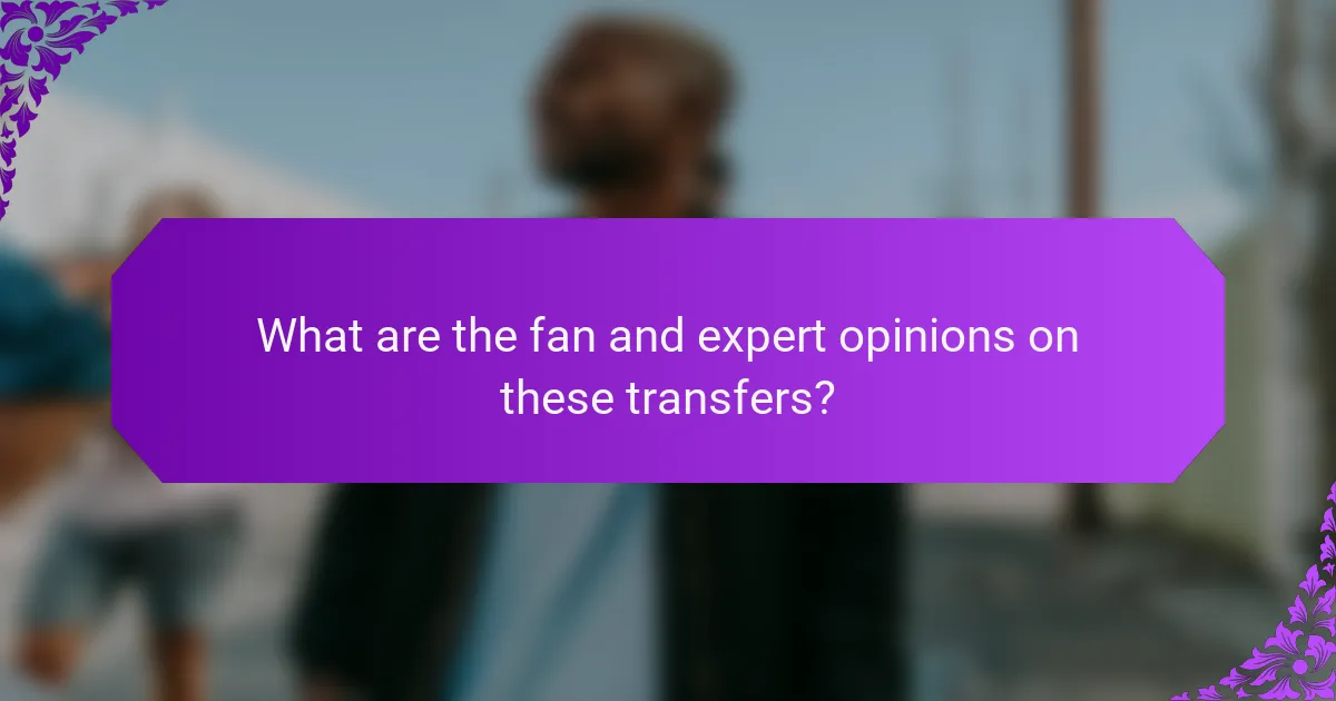 What are the fan and expert opinions on these transfers?