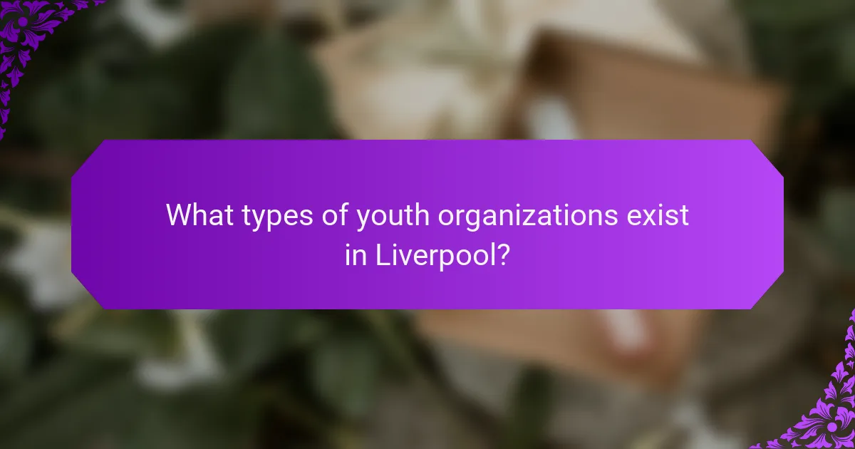 What types of youth organizations exist in Liverpool?